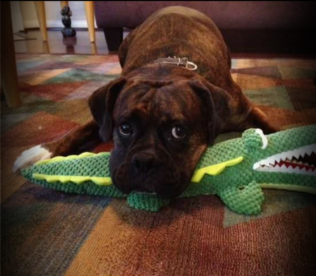 Winston