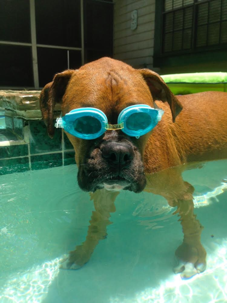 Rufus