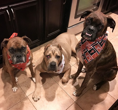 Jada, Bane, Maya
