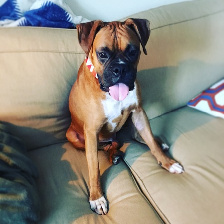 Tico