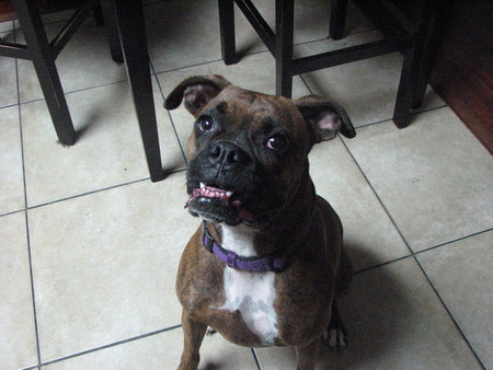 Lola-Grace