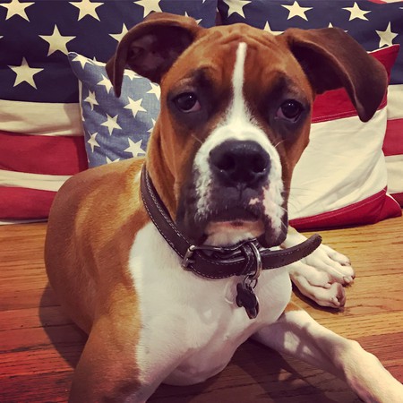 Blitz LeWulf Tucker