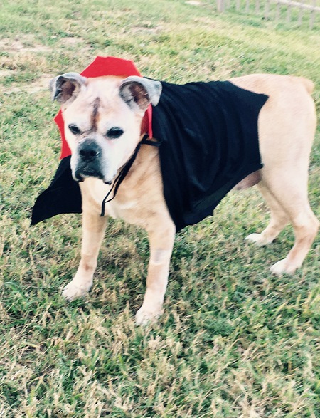 Tyson