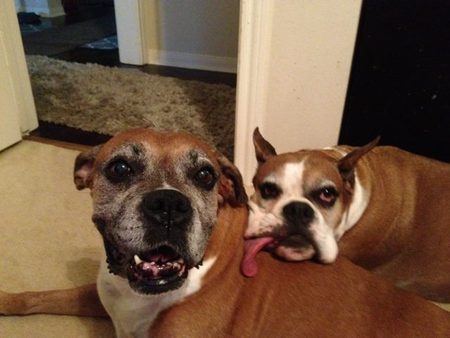 Yashi (L) and Nicky (R)