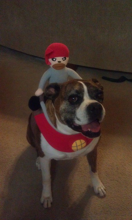 Odie - Ready to go Trick or Treating