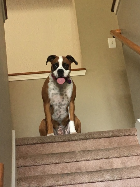 Cali