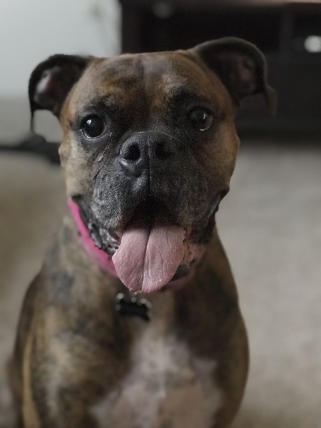 Maggie