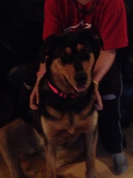 Roxy