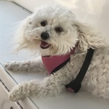 Entry image for BARKLEY