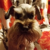 Entry image for Howie