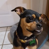 Entry image for Baby Wyatt