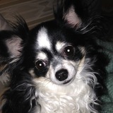 Entry image for Ellie Mae
