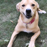 Entry image for Maggie Mae