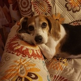 Entry image for Daisy May