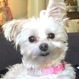 Entry image for Tarry