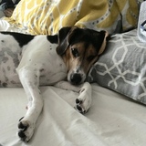 Entry image for Maggie