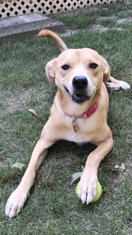 Entry image for Maggie Mae. Clicking this image will show a larger photo