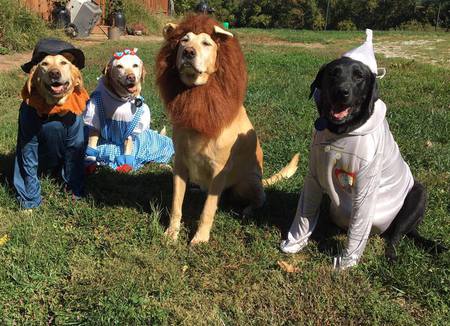Entry image for Bindi, Britt, Bodie, Jake. Clicking this image will show a larger photo