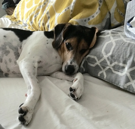 Entry image for Maggie. Clicking this image will show a larger photo