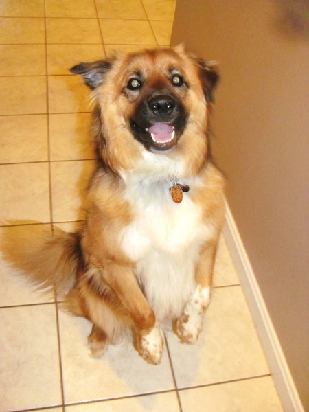 Entry image for Bubby Morse. Clicking this image will show a larger photo