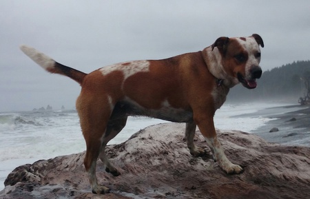 Maggie 