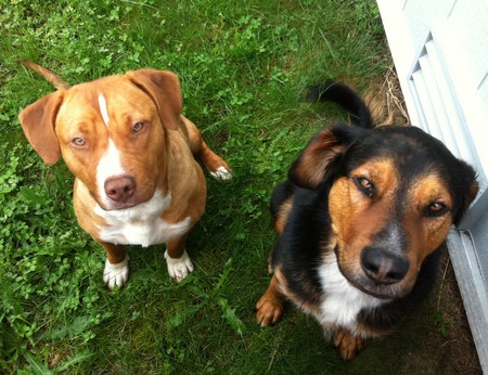 Lilja & Carlos