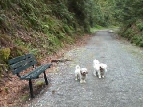 Luu and Doogie