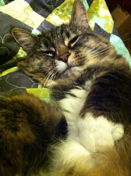 Minou