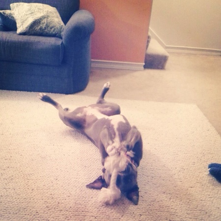 Darla