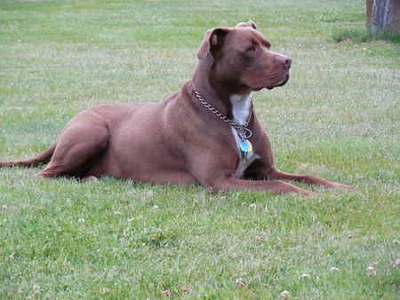 Eva