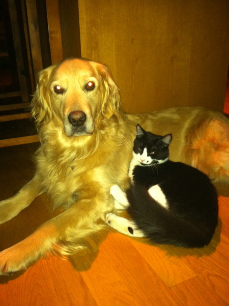 Tucker and Lucy