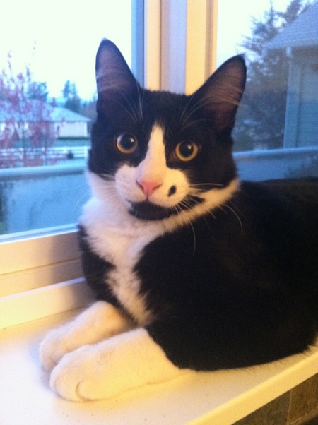 Tucker
