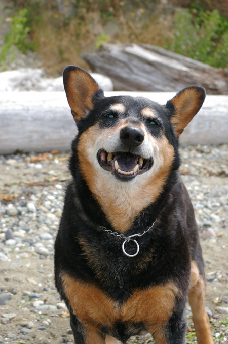 Jazzy (aka....."Ninny")