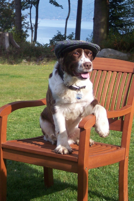 Bogie