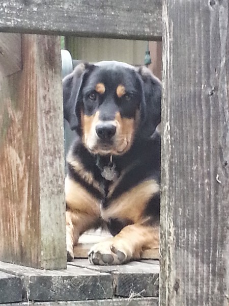 Doug (formerly known as George)