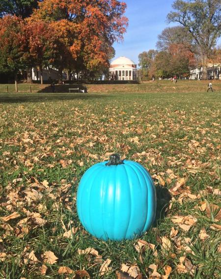 Teal is the New Orange at UVA