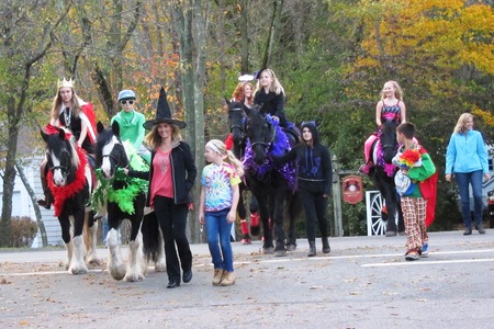 Wheelgate Farm Team
