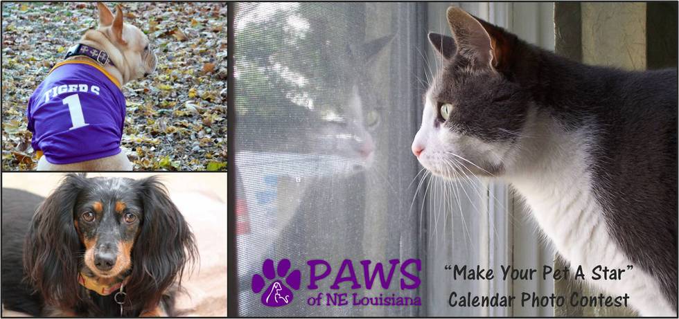 Banner for PAWS of NE Louisiana "Make Your Pet A Star" Calendar Photo Contest
