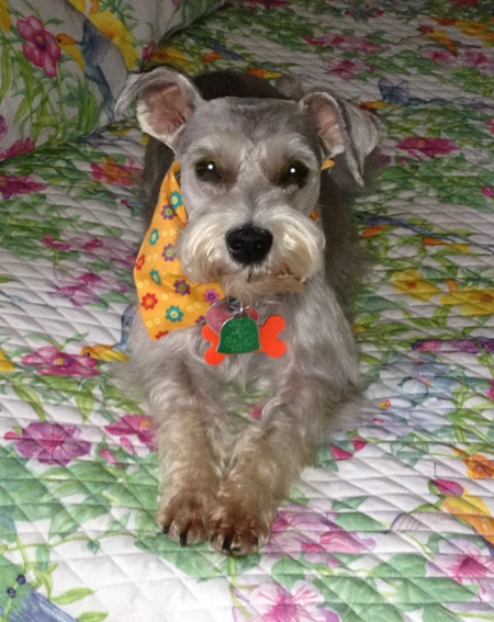 Entry image for Lucy Mae Donald. Clicking this image will show a larger photo
