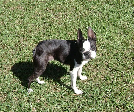 Entry image for Katie. Clicking this image will show a larger photo