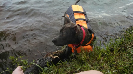 Entry image for Stormie. Clicking this image will show a larger photo