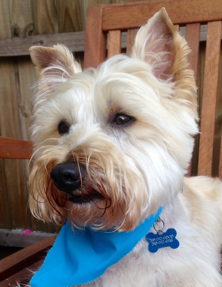 Entry image for FINLEY. Clicking this image will show a larger photo