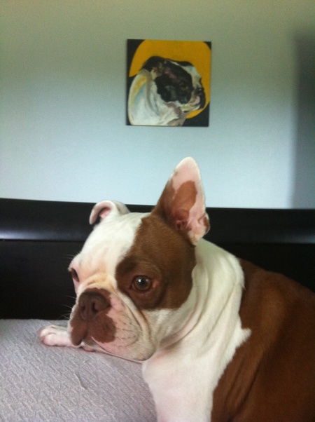 Entry image for Basil. Clicking this image will show a larger photo