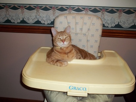 Entry image for Reina. Clicking this image will show a larger photo