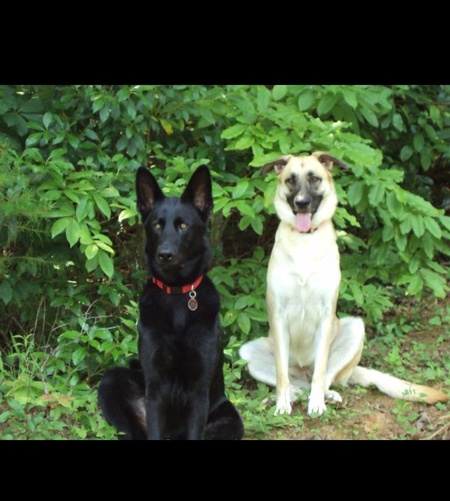 Entry image for Major AND Samantha. Clicking this image will show a larger photo