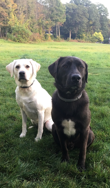 George and Mossy