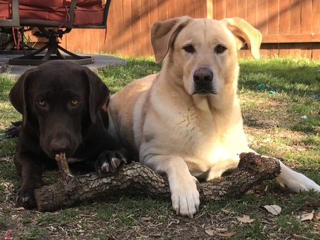 Penny & Phoebe