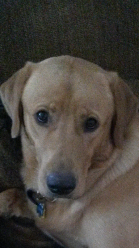 Jackson (fka Rascal)