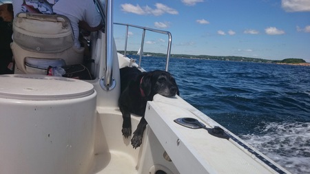 Rosie