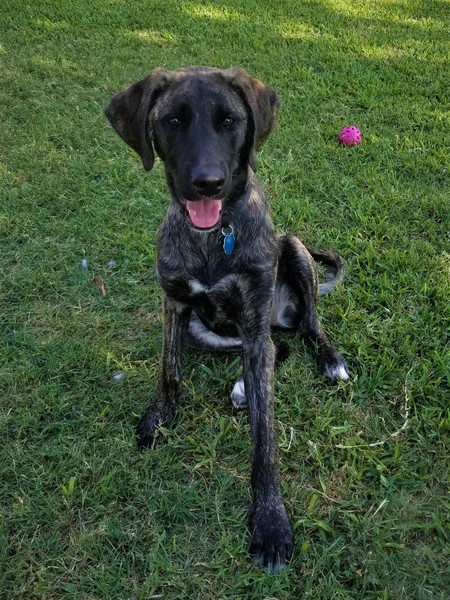 Paxton
